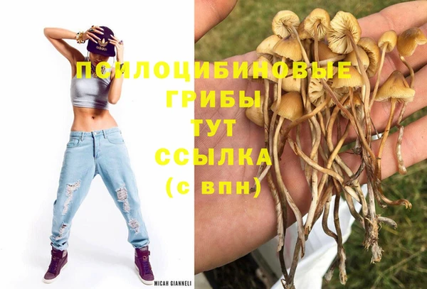 СК Зеленодольск